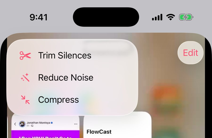Trim Silences, Reduce Noise, Compress menu