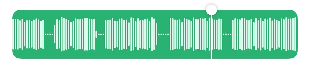 Timeline before removing silences